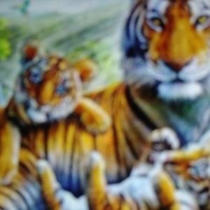 Meet your Posher, Jackson